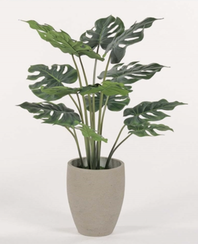 split leaf palm plant UpMarket High End Furniture and Decor and Interior Design Consulting  Services San Antonio, Texas