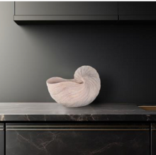 Load image into Gallery viewer, Nautilus Shell