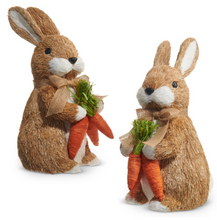 Load image into Gallery viewer, Bunny with Carrots 12&quot;
