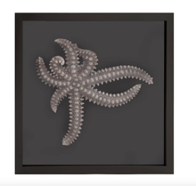 Load image into Gallery viewer, Star Fish Framed Art
