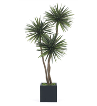 Load image into Gallery viewer, 8&#39; Three Ball Yucca Tree w/ Mood Moss
