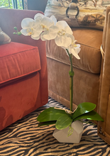 Load image into Gallery viewer, SINGLE ORCHID IN GEO VASE
