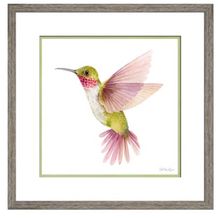 Load image into Gallery viewer, Broad Tailed Hummingbird 21.25 x 21.25
