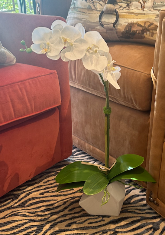 SINGLE ORCHID IN GEO VASE