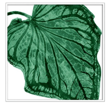 Load image into Gallery viewer, Tropical Palm III 31.25 x 31.25
