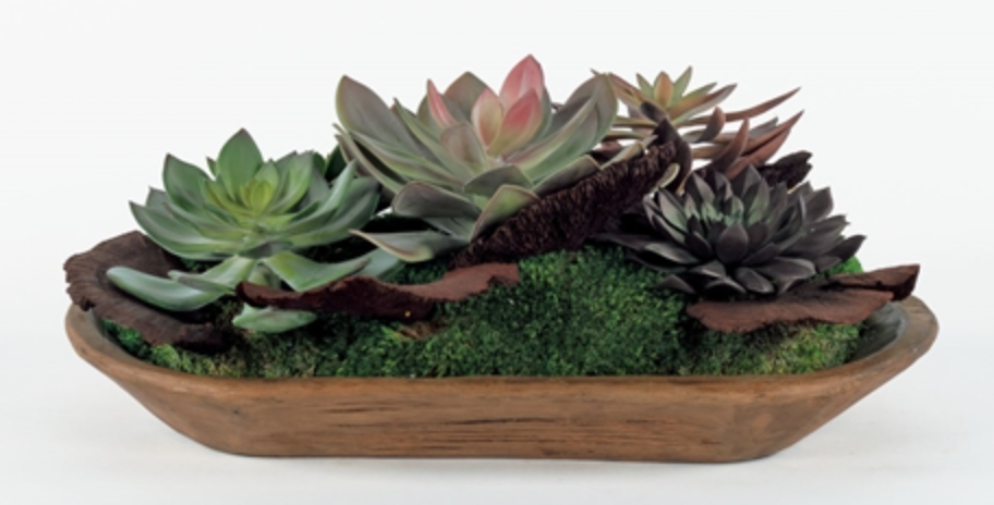 SUCCULENTS IN WOOD CENTERPIECE