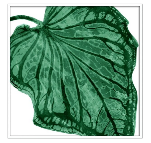 https://res.cloudinary.com/lightspeed-retail/image/upload/jdo5ad5clf4o7hksbzbd