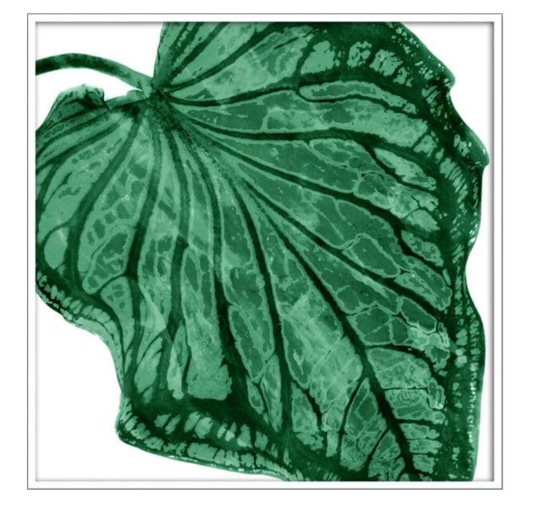 https://res.cloudinary.com/lightspeed-retail/image/upload/jdo5ad5clf4o7hksbzbd