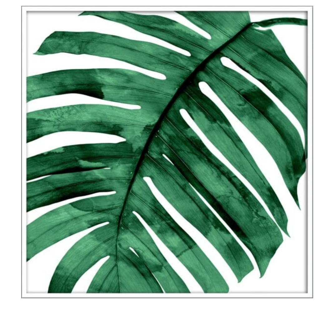 Tropical Palm II 31.25 x 31.25