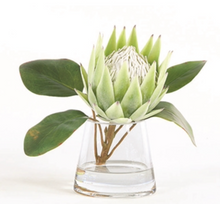 Load image into Gallery viewer, Giant Protea in Water
