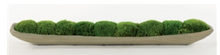 Load image into Gallery viewer, Mood Moss Garden in Wood Boat
