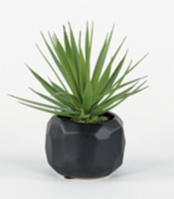 Load image into Gallery viewer, Spikey Succulents In Black
