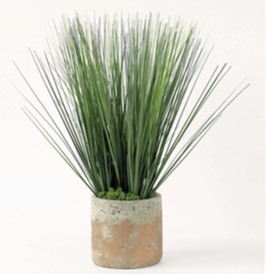 Tall Grass in Earthen Vase