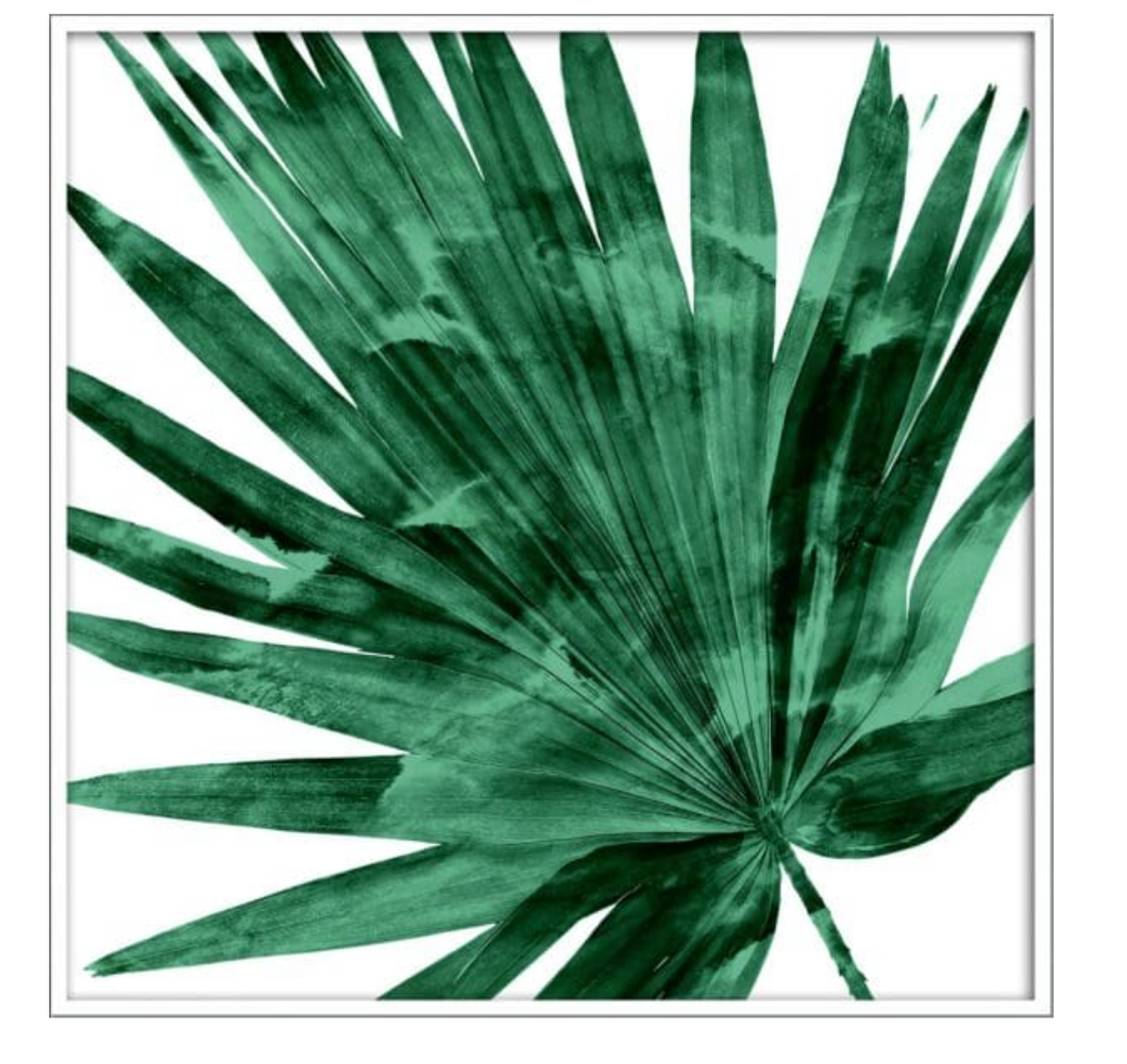 Tropical Palm IV 31.25 x 31.25