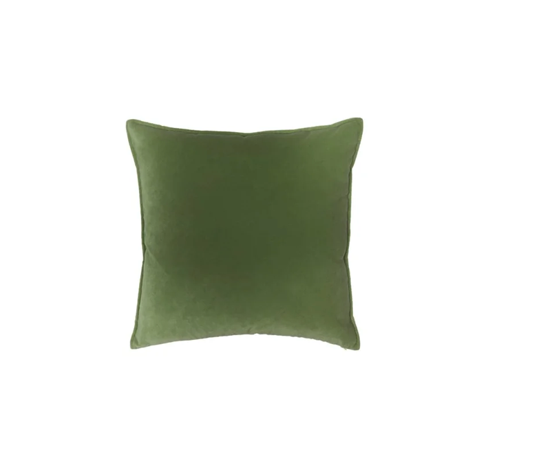 Vert Lichen - Franklin Pillow 22x22
