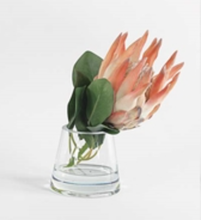 Load image into Gallery viewer, Coral Protea Sin Water
