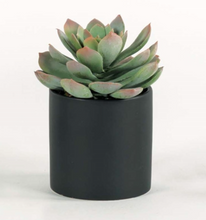 Load image into Gallery viewer, Succulent in SM BLK Cylinder
