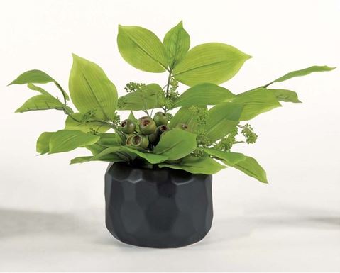 Acuba Foliage in Black Faceted Bowl, luxury decor