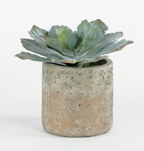 Load image into Gallery viewer, Succulent In Earthen Vase-Small
