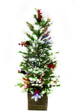 Load image into Gallery viewer, 42&quot; Potted White Tip Fraser Fir Christmas Tree
