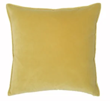 Tumeric- Franklin Pillow 22x22