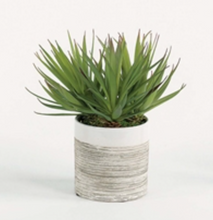 Load image into Gallery viewer, Spikey Succulent in Textured Vase
