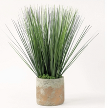 Load image into Gallery viewer, Tall Grass in Earthen Vase

