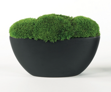 Load image into Gallery viewer, Mod Oblong BLK Vase w/ Moss
