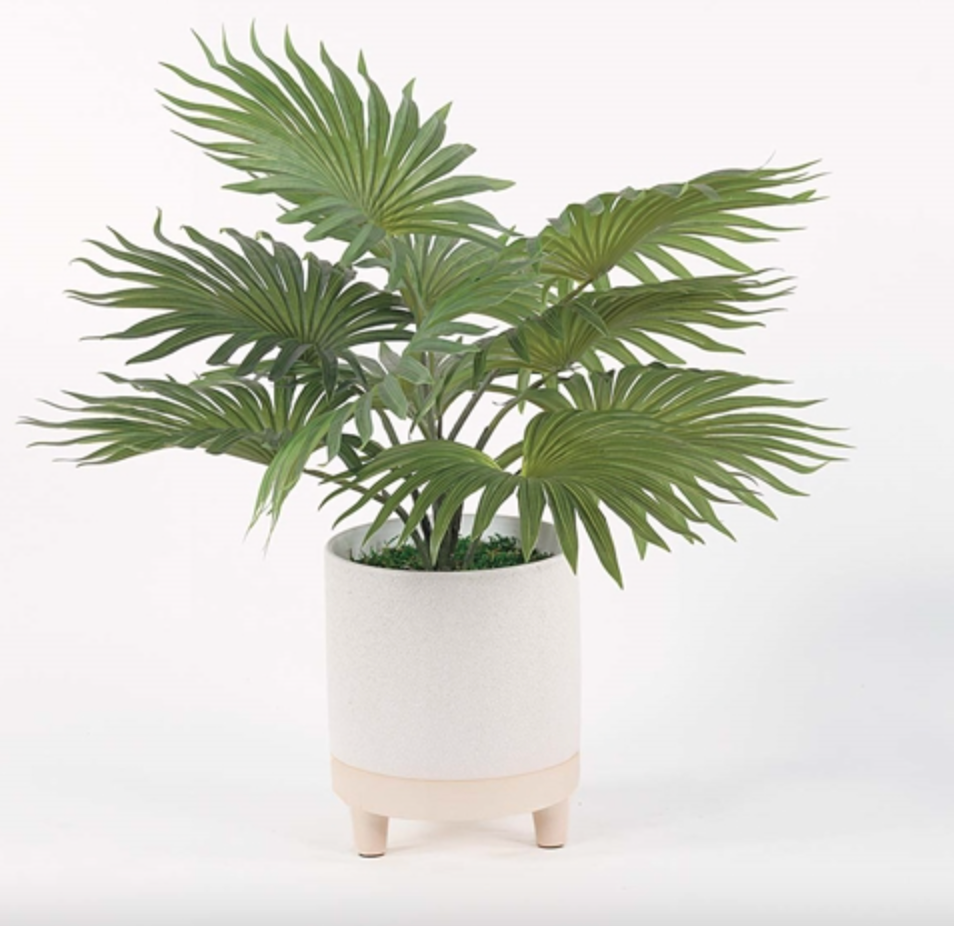 Fan Pal Min Textured Footed Urn