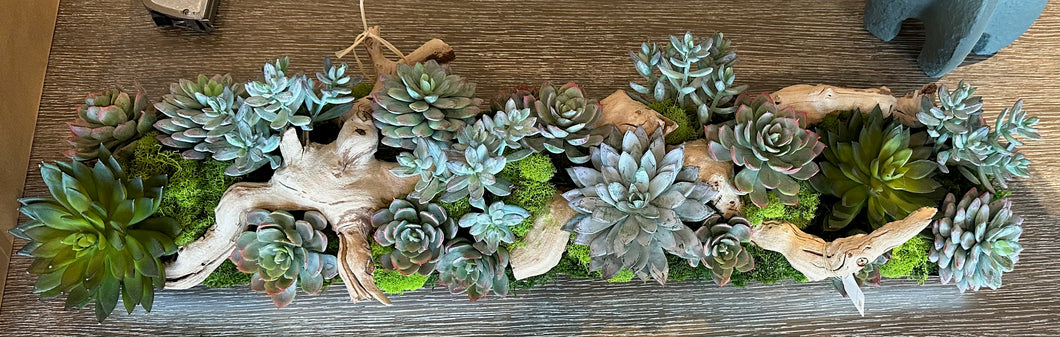 Succ / Branch in Silver Tray