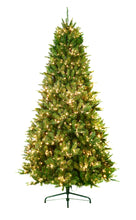 Load image into Gallery viewer, 9&#39; Fraser Fir Christmas Tree
