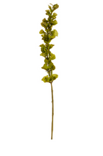 Load image into Gallery viewer, Bells of Ireland 42&quot;
