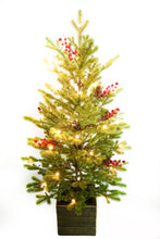 Load image into Gallery viewer, 42” Potted Green Fraser Fir Christmas Tree
