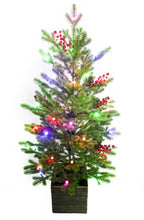 Load image into Gallery viewer, 42” Potted Green Fraser Fir Christmas Tree
