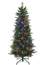 Load image into Gallery viewer, 12&#39; Alberta Spruce Christmas Tree
