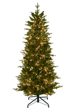 Load image into Gallery viewer, 6.5&#39; Alberta Spruce Christmas Tree

