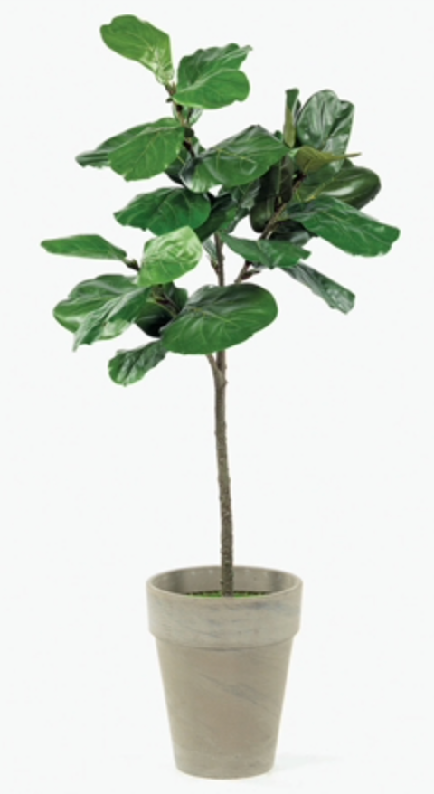 5' Ultimate Small Fig