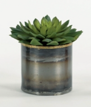 Load image into Gallery viewer, Echeveria Succulent in Sm. Artisan Metal
