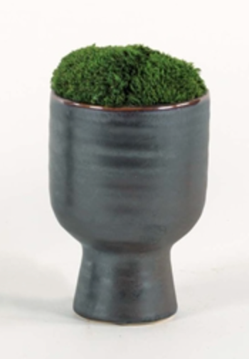 Sm. Contemporary Urn of Mood Moss