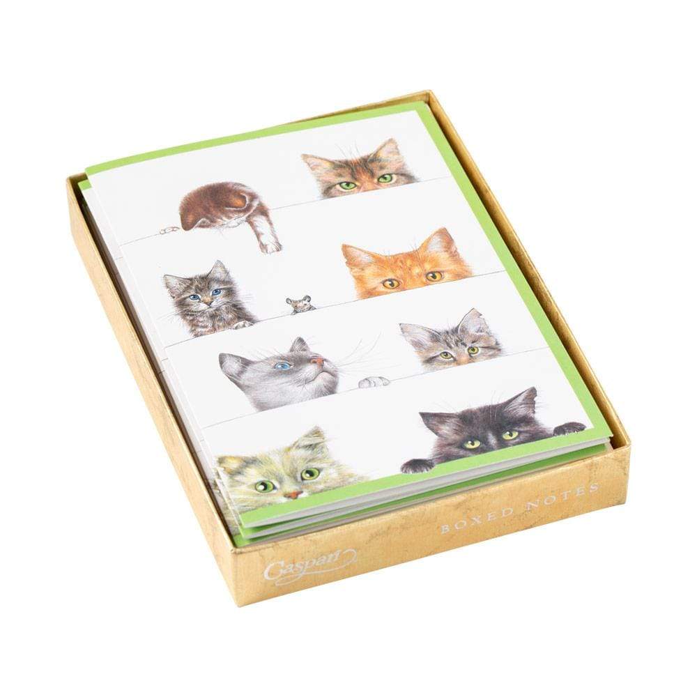 Kitties Notecards