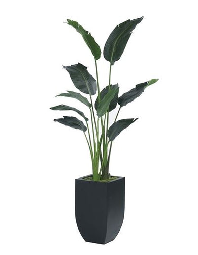 travelers palm upscale home decor
