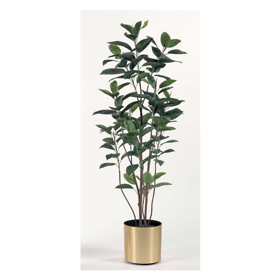 6' Rubber Tree. Rubber Tree with Mood Moss in Gold Pot. Luxury Tree Masters Faux tree